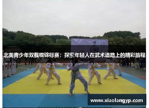 北美青少年双截棍锦标赛：探索年轻人在武术道路上的精彩旅程