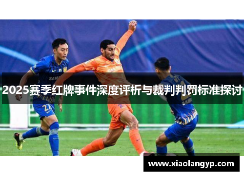 2025赛季红牌事件深度评析与裁判判罚标准探讨