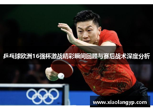 乒乓球欧洲16强杯激战精彩瞬间回顾与赛后战术深度分析