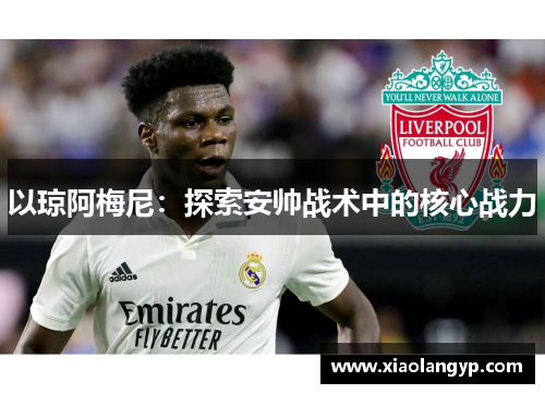 以琼阿梅尼：探索安帅战术中的核心战力