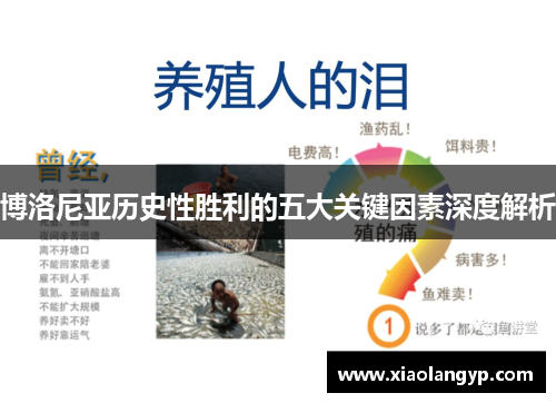 博洛尼亚历史性胜利的五大关键因素深度解析