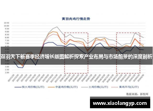 双羽天下新赛季经济增长版图解析探索产业布局与市场前景的深度剖析