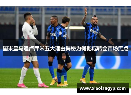 国米皇马追卢库米五大理由揭秘为何他成转会市场焦点