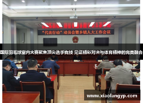 国际羽毛球室内大赛聚焦顶尖选手竞技 见证精彩对决与体育精神的完美融合