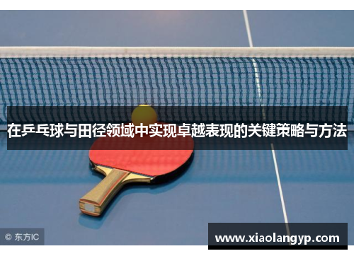 在乒乓球与田径领域中实现卓越表现的关键策略与方法