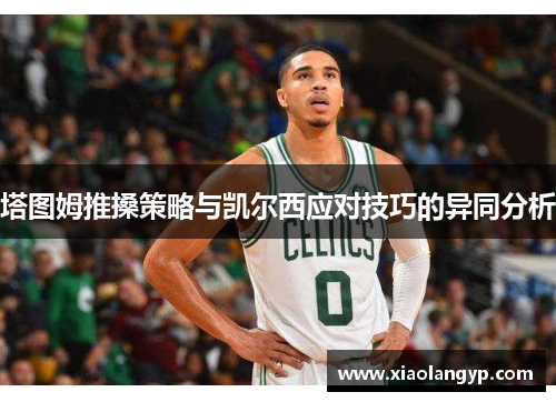 塔图姆推搡策略与凯尔西应对技巧的异同分析