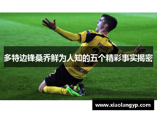 多特边锋桑乔鲜为人知的五个精彩事实揭密