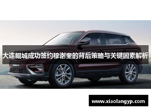 大连鲲城成功签约穆谢奎的背后策略与关键因素解析